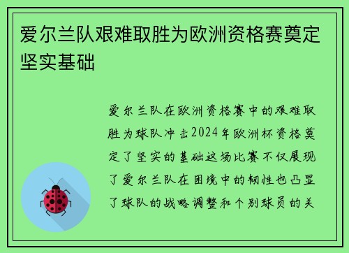 爱尔兰队艰难取胜为欧洲资格赛奠定坚实基础